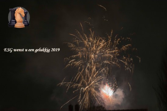 DSC_4450 esg nwjaarswens 2019
