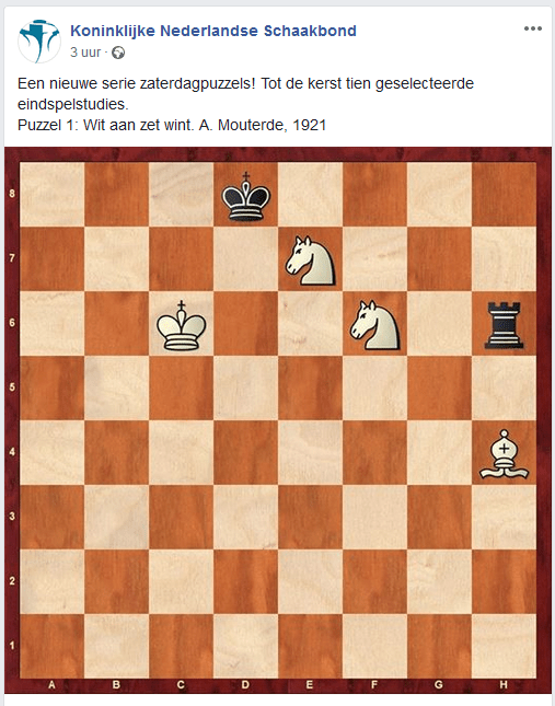 zaterdagpuzzel eindspel 1.png