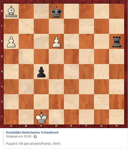 zaterdagpuzzel eindspel 6