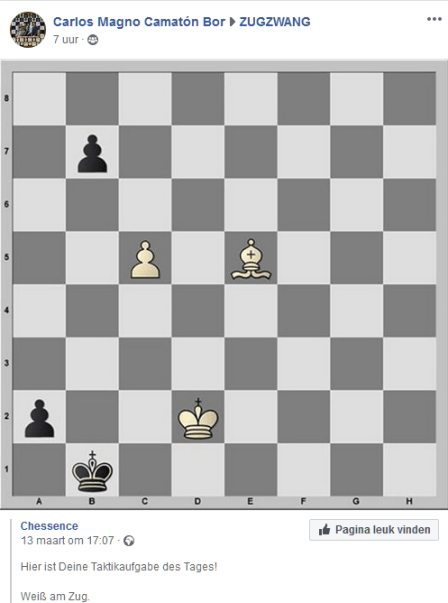 studie chessense
