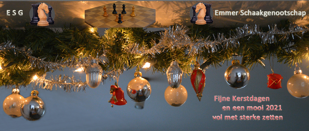 kerst en nieuwjaarsgroet ESG